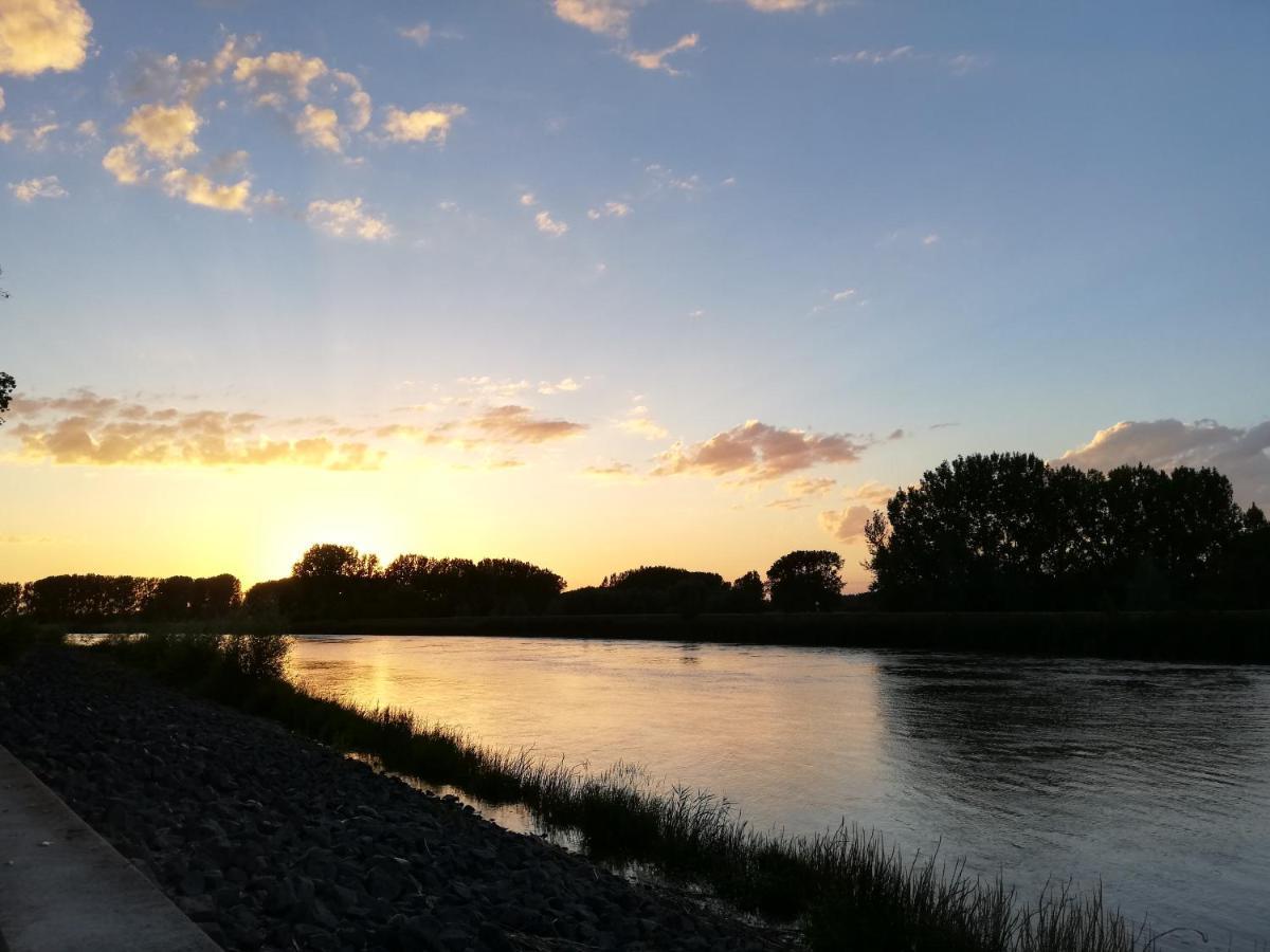 B&B De Stuifduinen Wetteren エクステリア 写真