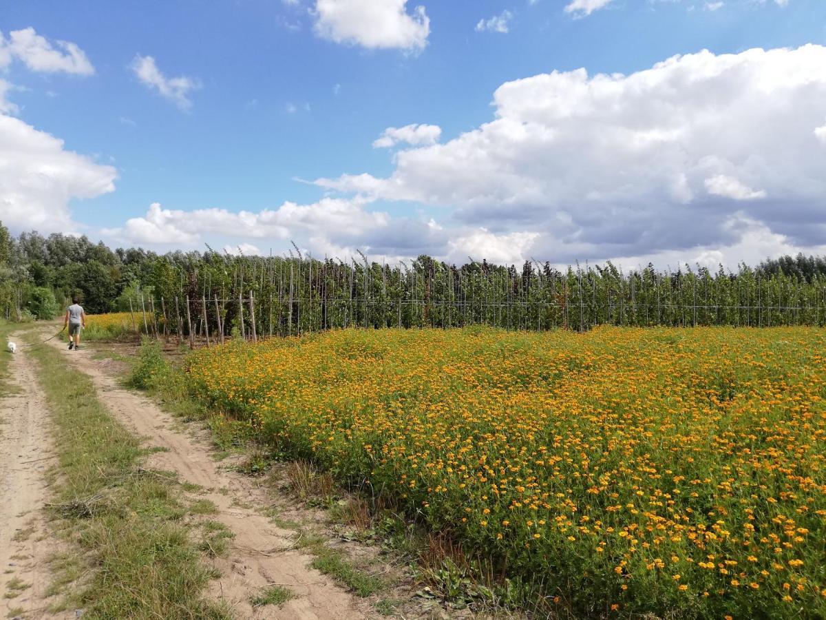 B&B De Stuifduinen Wetteren エクステリア 写真