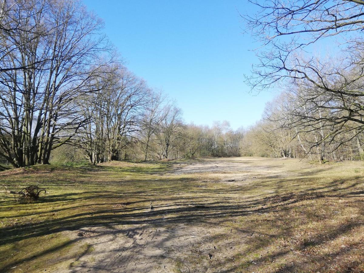 B&B De Stuifduinen Wetteren エクステリア 写真