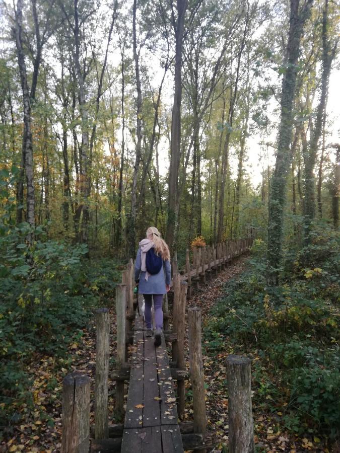 B&B De Stuifduinen Wetteren エクステリア 写真