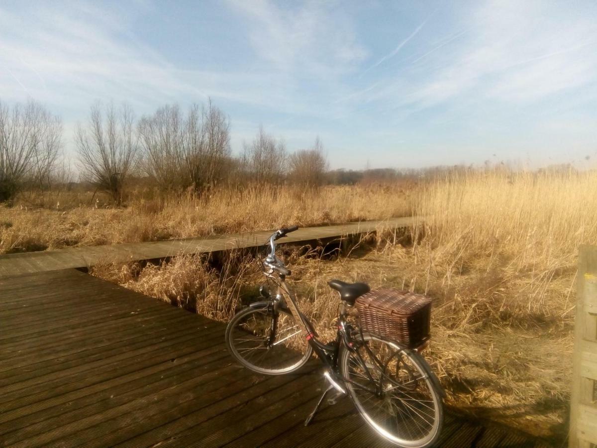 B&B De Stuifduinen Wetteren エクステリア 写真